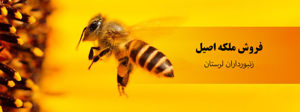 محصولات زنبور عسل